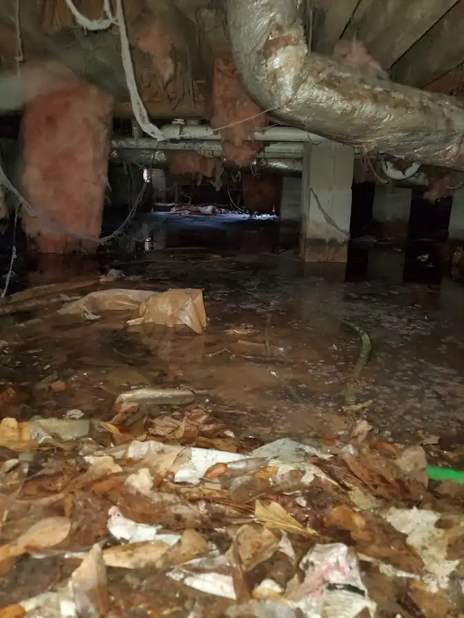 Crawl space flood assessment for Commercial Water Damage Restoration in Jefferson